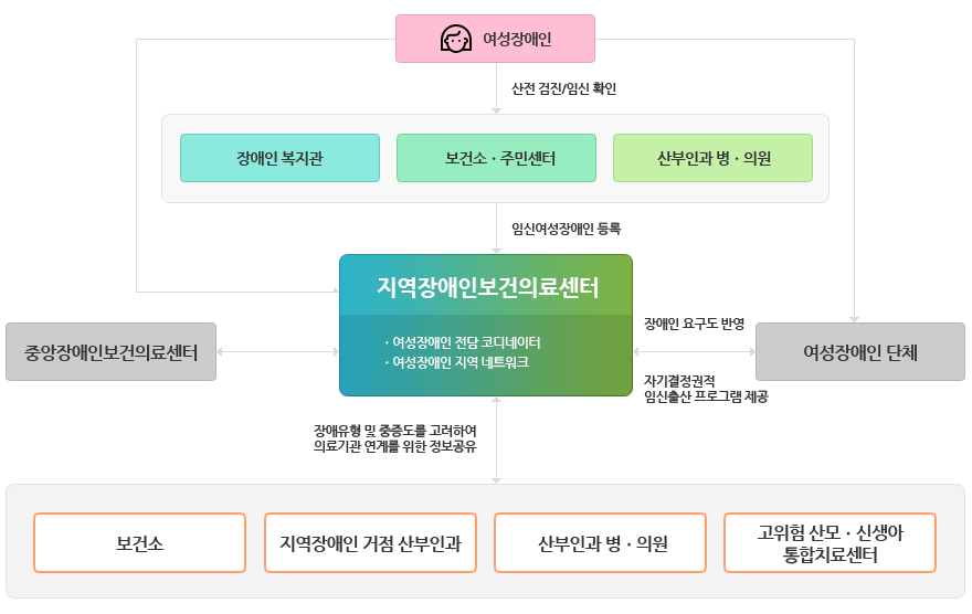 여성장애인 임신, 출산에 대한 모성보건사업 제공